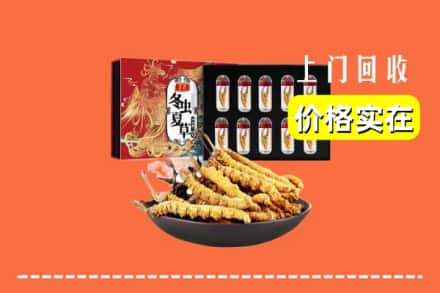 甘孜乡城县回收冬虫夏草